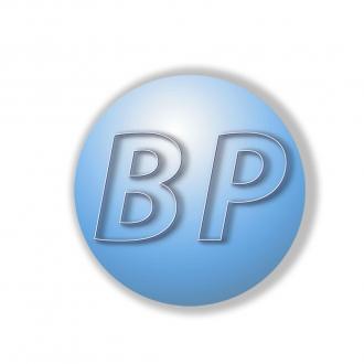 Brněnská pole Invest, s.r.o.