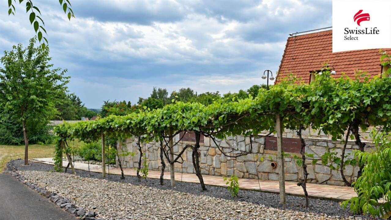 Ostatní